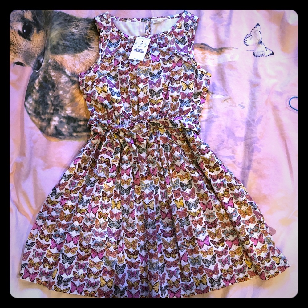 NEW Adorable butterfly print dress! 🦋